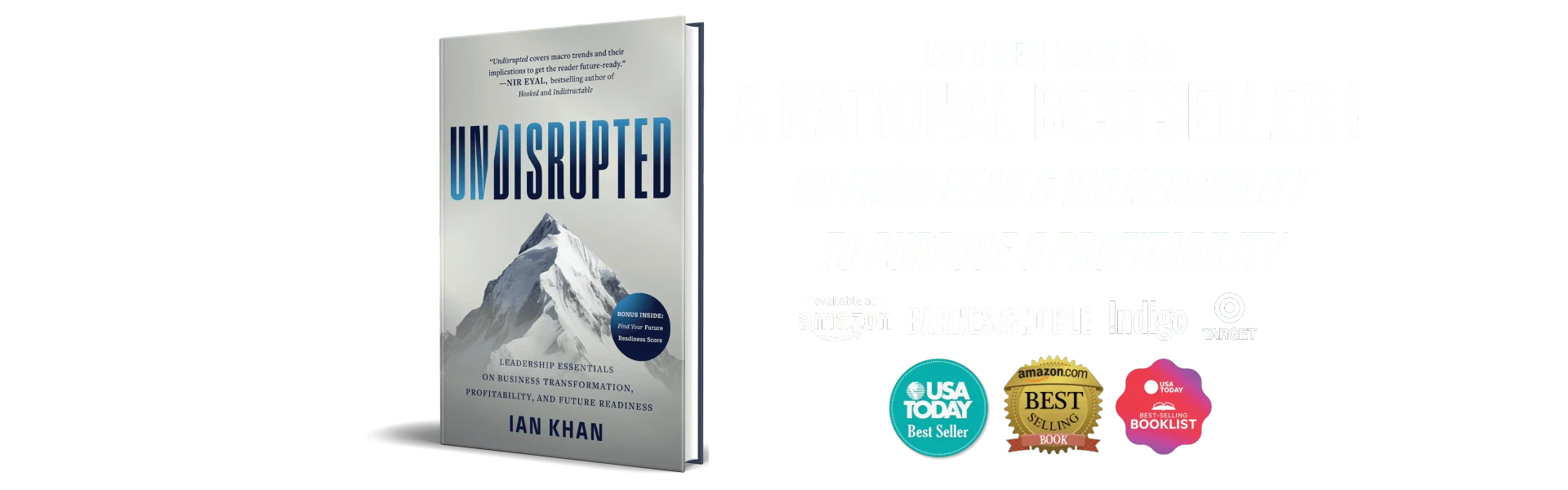 Undisrupted website wide banner -bestseller